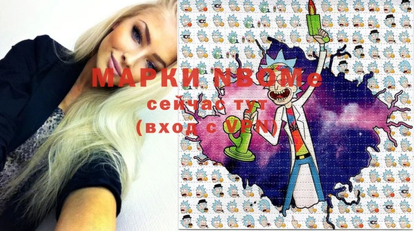 гашик Алексеевка