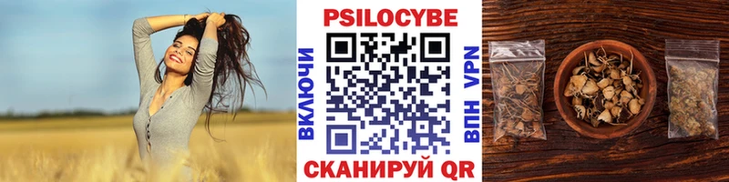 ОМГ ОМГ ссылки  Бобров  Псилоцибиновые грибы Magic Shrooms 